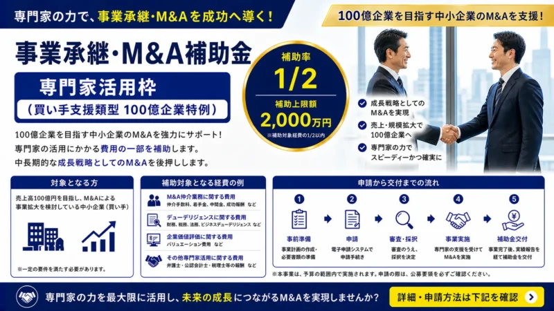 事業承継・M&A補助金 専門家活用枠（買い手支援類型 100億企業特例）