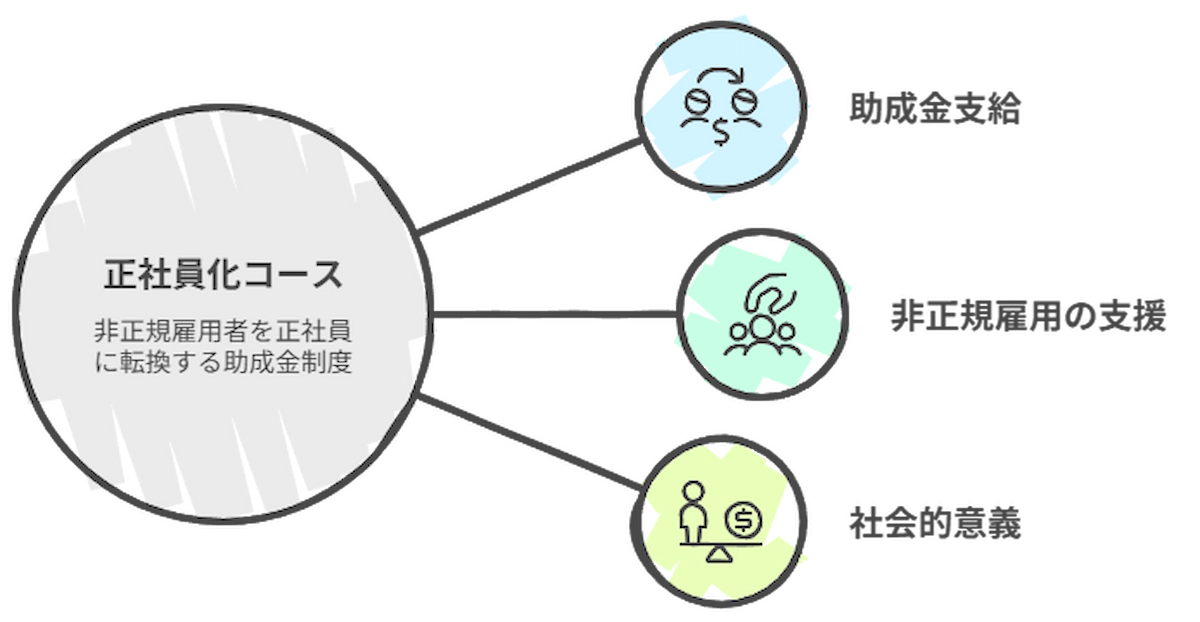 正社員化コースの制度概要・ビジュアル解説